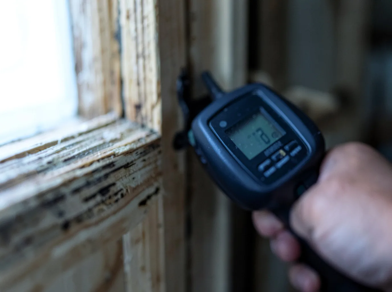 Moisture Inspection And Documentation in Milan, NH